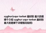 uyghur(uqur torbat 最好的 最大的是哪个介绍 uyghur uqur torbat 最好的 最大的是哪个详细情况如何)