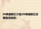 09庚澈粉红介绍(09庚澈粉红详细情况如何)