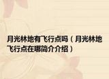 月光林地有飞行点吗（月光林地飞行点在哪简介介绍）