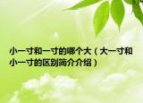 小一寸和一寸的哪个大（大一寸和小一寸的区别简介介绍）