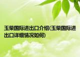 玉柴国际进出口介绍(玉柴国际进出口详细情况如何)