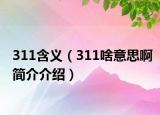 311含义（311啥意思啊简介介绍）