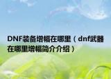 DNF装备增幅在哪里（dnf武器在哪里增幅简介介绍）