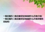 一级庄园升二级庄园采集熟练度怎么升级介绍(一级庄园升二级庄园采集熟练度怎么升级详细情况如何)
