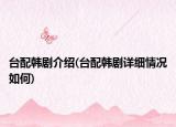 台配韩剧介绍(台配韩剧详细情况如何)