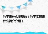竹子是什么类型的（竹子实际是什么简介介绍）