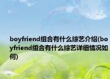 boyfriend组合有什么综艺介绍(boyfriend组合有什么综艺详细情况如何)