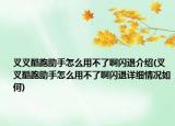 叉叉酷跑助手怎么用不了啊闪退介绍(叉叉酷跑助手怎么用不了啊闪退详细情况如何)