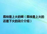 荔枝是上火的嘛（荔枝是上火的还是下火的简介介绍）