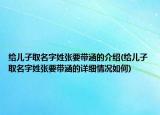 给儿子取名字姓张要带涵的介绍(给儿子取名字姓张要带涵的详细情况如何)
