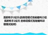 孤胆枪手2征兵(的炮塔模式有秘籍吗介绍 孤胆枪手2征兵 的炮塔模式有秘籍吗详细情况如何)