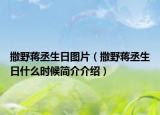 撒野蒋丞生日图片（撒野蒋丞生日什么时候简介介绍）