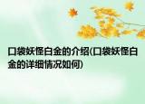 口袋妖怪白金的介绍(口袋妖怪白金的详细情况如何)