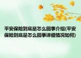 平安保险到底是怎么回事介绍(平安保险到底是怎么回事详细情况如何)