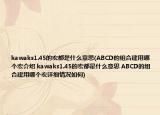 kawaks1.45的宏都是什么意思(ABCD的组合建用哪个宏介绍 kawaks1.45的宏都是什么意思 ABCD的组合建用哪个宏详细情况如何)