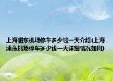 上海浦东机场停车多少钱一天介绍(上海浦东机场停车多少钱一天详细情况如何)