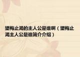 望梅止渴的主人公是谁啊（望梅止渴主人公是谁简介介绍）