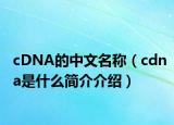 cDNA的中文名称（cdna是什么简介介绍）