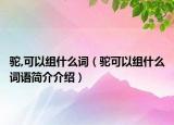 驼,可以组什么词（驼可以组什么词语简介介绍）