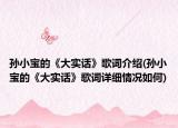 孙小宝的《大实话》歌词介绍(孙小宝的《大实话》歌词详细情况如何)