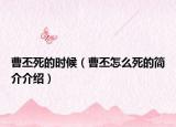 曹丕死的时候（曹丕怎么死的简介介绍）