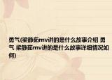 勇气(梁静茹mv讲的是什么故事介绍 勇气 梁静茹mv讲的是什么故事详细情况如何)