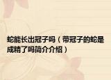 蛇能长出冠子吗（带冠子的蛇是成精了吗简介介绍）