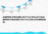 安徽四创电子股份有限公司辽宁分公司怎么样介绍(安徽四创电子股份有限公司辽宁分公司怎么样详细情况如何)