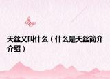 天丝又叫什么（什么是天丝简介介绍）