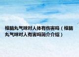 樟脑丸气味对人体有伤害吗（樟脑丸气味对人有害吗简介介绍）