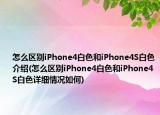 怎么区别iPhone4白色和iPhone4S白色介绍(怎么区别iPhone4白色和iPhone4S白色详细情况如何)