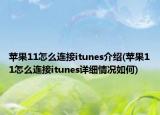 苹果11怎么连接itunes介绍(苹果11怎么连接itunes详细情况如何)