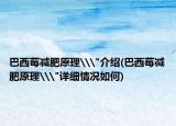 巴西莓减肥原理\