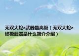 无双大蛇z武器最高级（无双大蛇z终极武器是什么简介介绍）