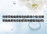 你要娶我我要嫁你的歌词介绍(你要娶我我要嫁你的歌词详细情况如何)