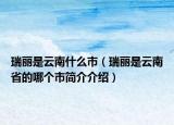 瑞丽是云南什么市（瑞丽是云南省的哪个市简介介绍）