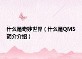 什么是奇妙世界（什么是QMS简介介绍）