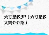 六寸是多少?（六寸是多大简介介绍）