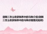 剑网三怎么收获驯养中的马驹介绍(剑网三怎么收获驯养中的马驹详细情况如何)