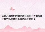 天龙八部虚竹的武功怎么来的（天龙八部上虚竹练的是什么武功简介介绍）