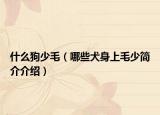 什么狗少毛（哪些犬身上毛少简介介绍）