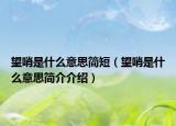 望哨是什么意思简短（望哨是什么意思简介介绍）