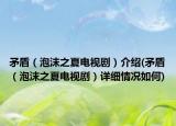 矛盾（泡沫之夏电视剧）介绍(矛盾（泡沫之夏电视剧）详细情况如何)
