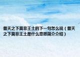 普天之下莫非王土的下一句怎么说（普天之下莫非王土是什么意思简介介绍）