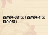 西洋参补充什么（西洋参补什么简介介绍）