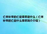 亡羊补牢的亡是意思是什么（亡羊补牢的亡是什么意思简介介绍）