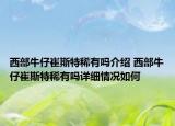 西部牛仔崔斯特稀有吗介绍 西部牛仔崔斯特稀有吗详细情况如何
