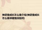 神武宠成长怎么看介绍(神武宠成长怎么看详细情况如何)