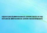 棕熊和河马谁厉害(藏獒和老虎谁厉害 老虎和狮子谁厉害介绍 棕熊和河马谁厉害 藏獒和老虎谁厉害 老虎和狮子谁厉害详细情况如何)