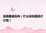 冻雨是凝冻吗（什么叫冻雨简介介绍）